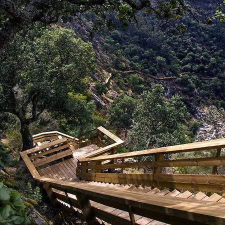 Casa Do Gaio-Turismo De Natureza Арока Экстерьер фото