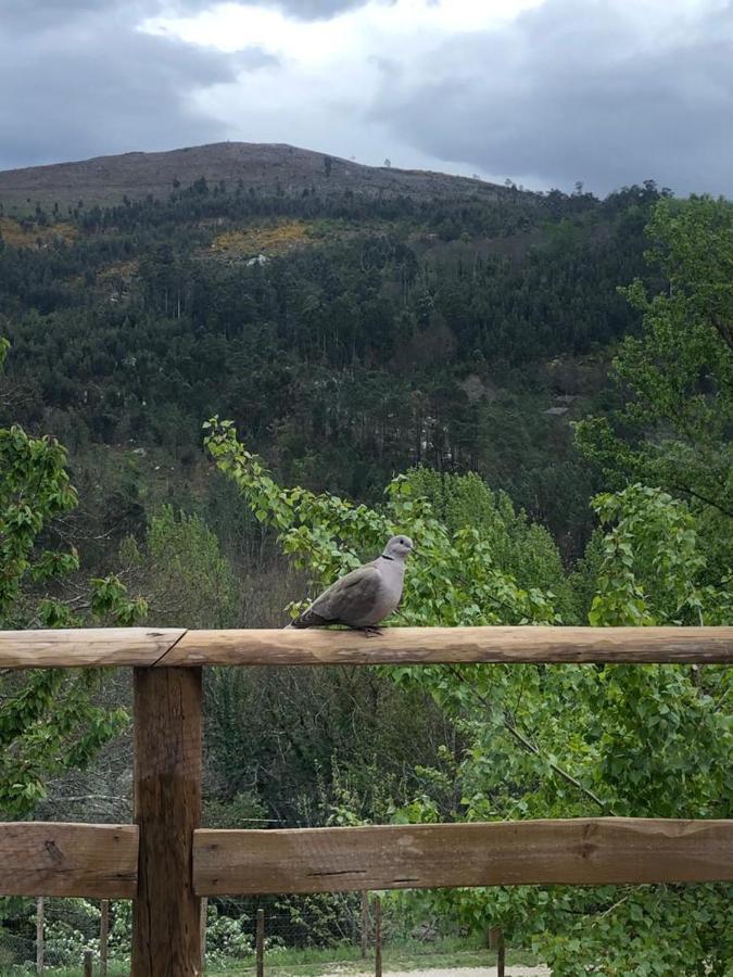 Casa Do Gaio-Turismo De Natureza Арока Экстерьер фото