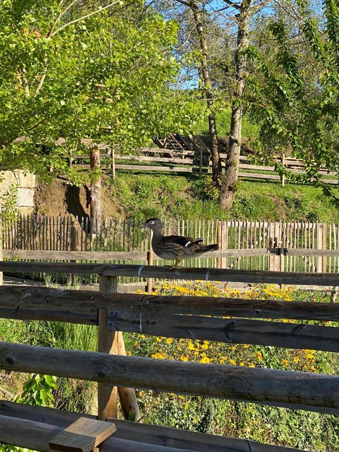 Casa Do Gaio-Turismo De Natureza Арока Экстерьер фото