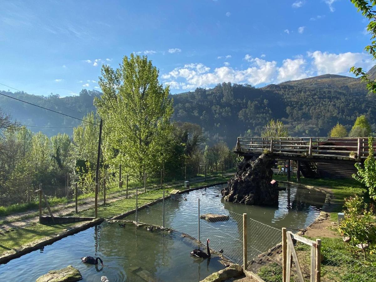 Casa Do Gaio-Turismo De Natureza Арока Экстерьер фото